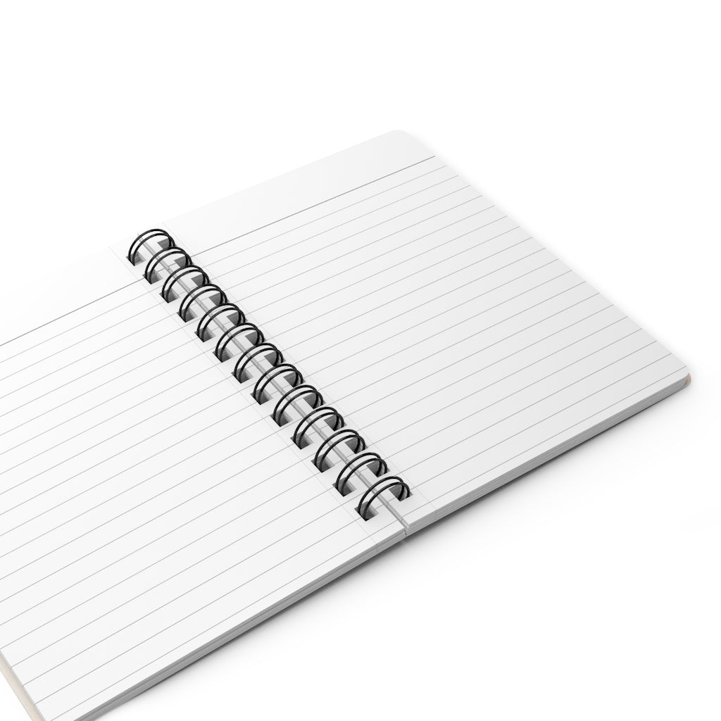 BigSisBudgets Journal
